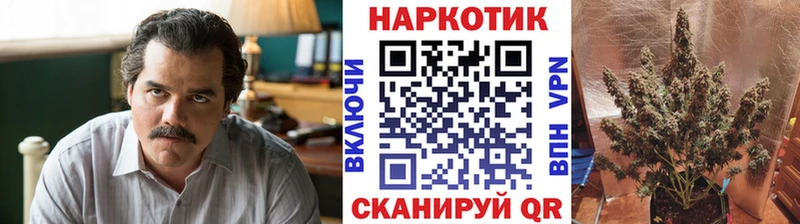 Цена Городец А ПВП  Экстази  Бошки Шишки  COCAIN  Мефедрон 