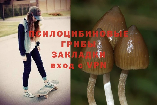 прущий лед Белоозёрский