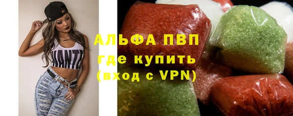 индика Инта